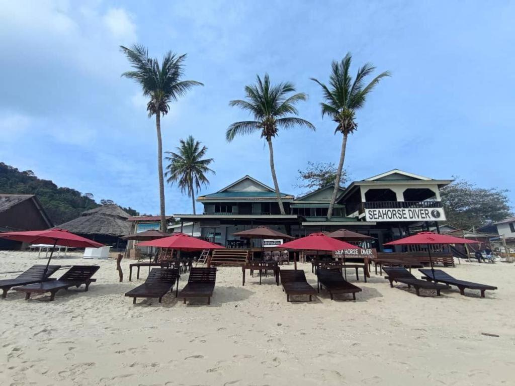 Seahorse Diver Guesthouse Kampong Pasir Panjang  Zewnętrze zdjęcie